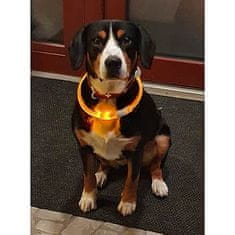 Merco Shiny svítící obojek pro psy žlutá Délka: 50 cm