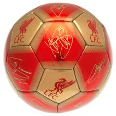 FotbalFans Fotbalový míč Liverpool FC, červeno-zlatý, vel. 5