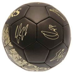 FotbalFans Fotbalový míč Tottenham Hotspur FC, podpisy, vel. 5