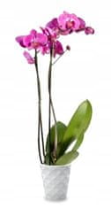 Polnix Keramický květináč bílý 15 cm
