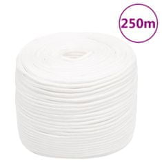 Greatstore Lodní lano celobílé 10 mm 250 m polypropylen