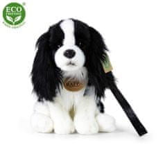 Rappa Plyšový pes kavalír King Charles španěl s vodítkem 27 cm ECO-FRIENDLY