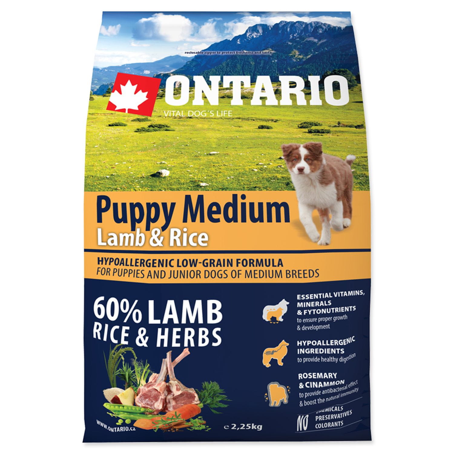 Ontario puppy mini lamb and outlet rice