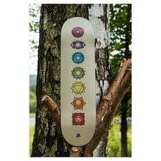 Ambassadors deska AMBASSADORS 7.875'' Medium Chakras One Size