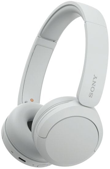 Sony WH-CH520