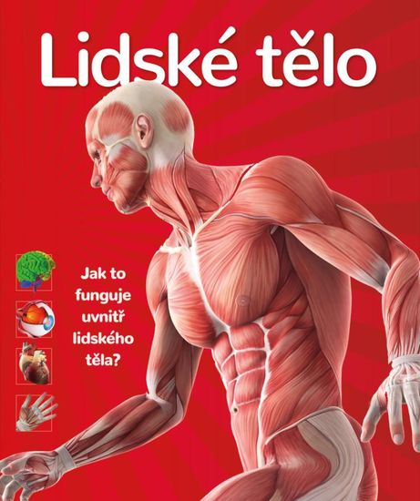 Lidské tělo - Jak to funguje uvnitř lidského těla?