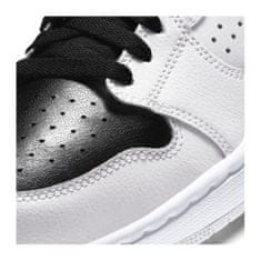 Nike Boty 45 EU Air Jordan Access