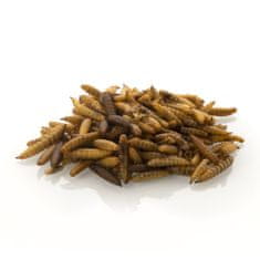 Juko Bráněnka sušené larvy 500 ml