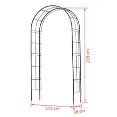 Petromila Nature Zahradní oblouk kovový 229 x 38 x 113 cm černý