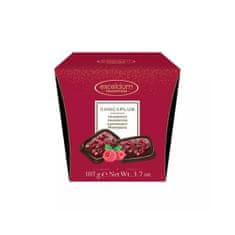 Excelcium Tradition Belgická dezertní čokoláda 50% kakaa s malinami "Choc & Plus Raspberry | Čokoláda s malinami" 107g Excelcium Tradition