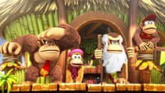 Donkey Kong Country : Tropical Freeze NSW