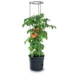 Prosperplast Květináč TOMATO GROWER na pěstování rajčat 29,5 cm antracit