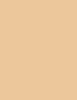 Sensai 11g total finish spf10, tf203 natural beige