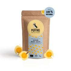 Puffins Křupavá porce sušeného ovoce (puffed) Švéd BIO, bez lepku a bez přidaného cukru "Puffins - Fruit to Crunch" 40g