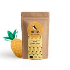 Puffins Křupavé porce sušeného ovoce (Puffed) Ananas BIO, bez lepku a bez přidaného cukru "Puffins - Fruit to Crunch".