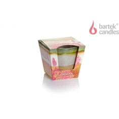 Bartek Svíčka ve skle GARDEN CANDLE - VERBENA, patchouli and cedar 115g