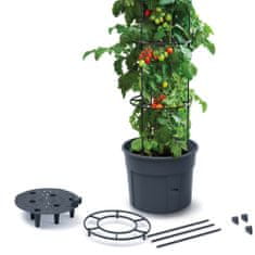 Prosperplast Sada 3X Květináč Na Pěstování Rajčat Tomato Grower 392X1530 Mm - Antracit