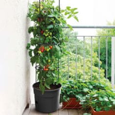 Prosperplast Květináč Na Pěstování Rajčat Tomato Grower 392X1530 Mm - Antracit