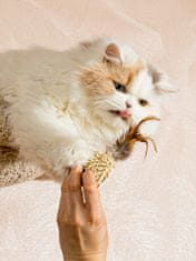 Japan Premium Hračka pro kočky “Strakatý míček” se šantou kočičí a funkcí péče o zuby