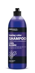 OEM Cool Blonde tónovací šampon pro blond, odbarvené a šedivé vlasy 500G