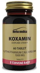 Koxamin 62g - kosti klouby, přírodní vápník 60 tablet