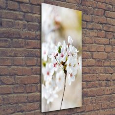 Wallmuralia Vertikální Foto obraz sklo tvrzené Květy višně 50x125 cm 4 úchytky