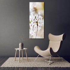 Wallmuralia Vertikální Foto obraz sklo tvrzené Květy višně 50x125 cm 4 úchytky