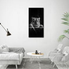 Wallmuralia Vertikální Moderní skleněný obraz z fotografie Tygr 60x120 cm 2 úchytky