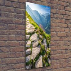 Wallmuralia Vertikální Foto obraz sklo tvrzené Horská stezka 50x125 cm 4 úchytky