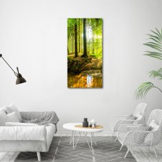 Wallmuralia Vertikální Foto obraz fotografie na skle Slunce v lese 60x120 cm 4 úchytky