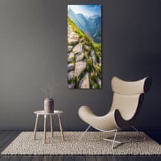 Wallmuralia Vertikální Foto obraz sklo tvrzené Horská stezka 50x125 cm 4 úchytky