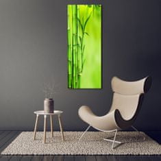 Wallmuralia Vertikální Moderní skleněný obraz z fotografie Bambus 70x140 cm 4 úchytky