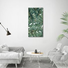 Wallmuralia Vertikální Foto-obrah sklo tvrzené Monstera 60x120 cm 4 úchytky