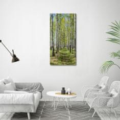 Wallmuralia Vertikální Foto obraz sklo tvrzené Břízový les 60x120 cm 2 úchytky