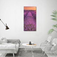 Wallmuralia Vertikální Foto obraz sklo tvrzené Pole levandule 60x120 cm 4 úchytky