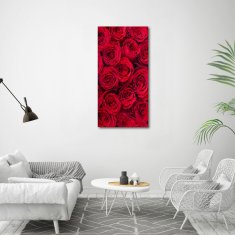 Wallmuralia Vertikální Foto obraz sklo tvrzené Červené růže 60x120 cm 2 úchytky