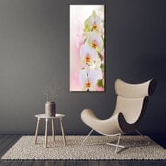 Wallmuralia Vertikální Foto obraz fotografie na skle Bílá orchidej 50x125 cm 2 úchytky