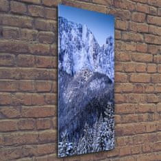 Wallmuralia Vertikální Foto obraz sklo tvrzené Gievont Tatry 50x125 cm 4 úchytky