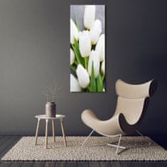 Wallmuralia Vertikální Foto obraz fotografie na skle Bílé tulipány 50x125 cm 4 úchytky