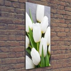 Wallmuralia Vertikální Foto obraz fotografie na skle Bílé tulipány 50x125 cm 4 úchytky