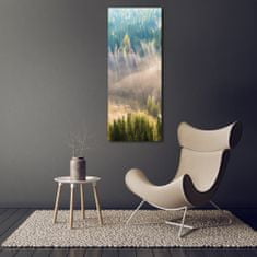 Wallmuralia Vertikální Foto obraz fotografie na skle Mlha nad lesem 70x140 cm 4 úchytky