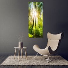 Wallmuralia Vertikální Foto obraz fotografie na skle Slunce v lese 70x140 cm 2 úchytky