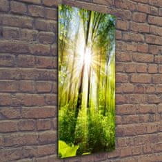 Wallmuralia Vertikální Foto obraz fotografie na skle Slunce v lese 50x125 cm 4 úchytky