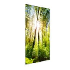 Wallmuralia Vertikální Foto obraz fotografie na skle Slunce v lese 50x125 cm 4 úchytky