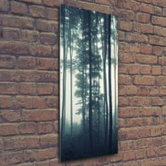 Wallmuralia Vertikální Foto obraz sklo tvrzené Mlha v lese 50x125 cm 4 úchytky