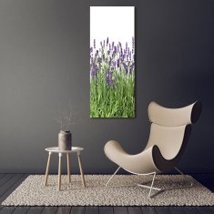 Wallmuralia Vertikální Foto obraz sklo tvrzené Pole levandule 50x125 cm 2 úchytky