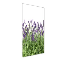 Wallmuralia Vertikální Foto obraz sklo tvrzené Pole levandule 50x125 cm 2 úchytky