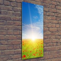 Wallmuralia Vertikální Foto obraz sklo tvrzené Pole máků 50x125 cm 2 úchytky