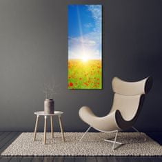 Wallmuralia Vertikální Foto obraz sklo tvrzené Pole máků 70x140 cm 4 úchytky