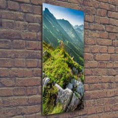 Wallmuralia Vertikální Foto obraz sklo tvrzené Hory létem 50x125 cm 2 úchytky